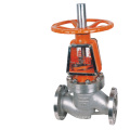 API CE Factory High Quality SS Flange Oxygen Globe Valve